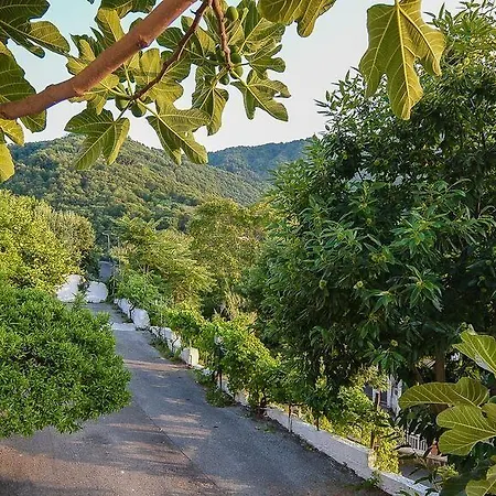 Giardini Di Iside E Osiride