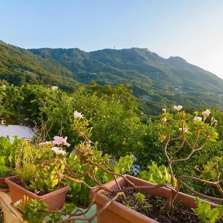 Bed & Breakfast Giardini Di Iside E Osiride 3*